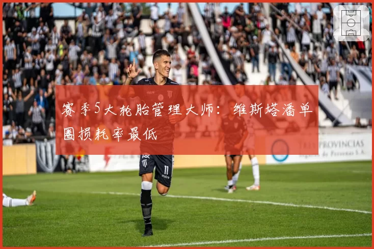 赛季5大轮胎管理大师：维斯塔潘单圈损耗率最低