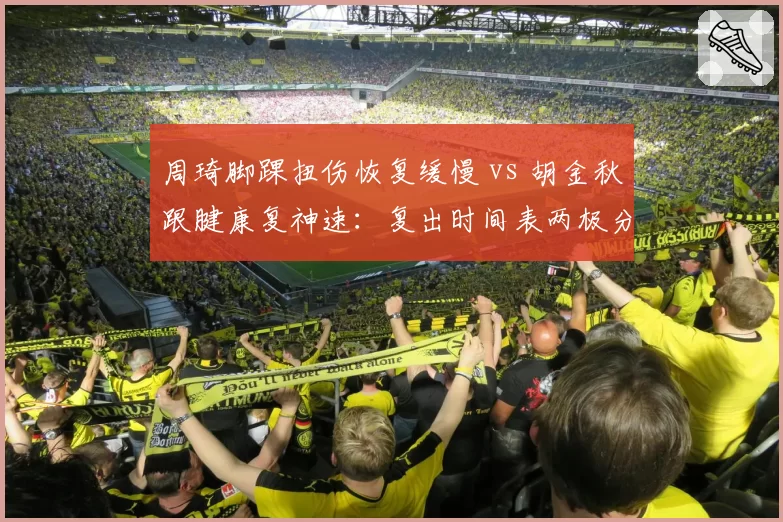 周琦脚踝扭伤恢复缓慢 vs 胡金秋跟腱康复神速:复出时间表两极分化