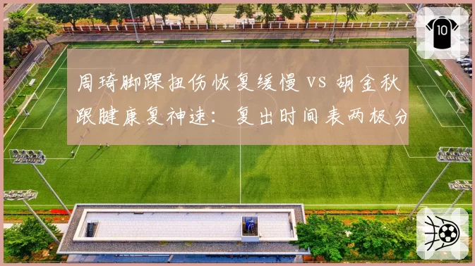 周琦脚踝扭伤恢复缓慢 vs 胡金秋跟腱康复神速:复出时间表两极分化