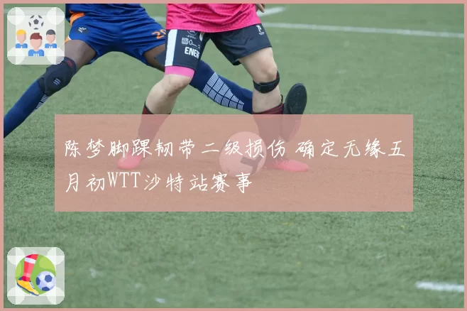 陈梦脚踝韧带二级损伤 确定无缘五月初WTT沙特站赛事